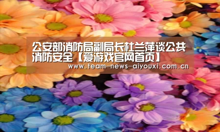 公安部消防局副局长杜兰萍谈公共消防安全【爱游戏官网首页】(图2) 爱游戏官网首页